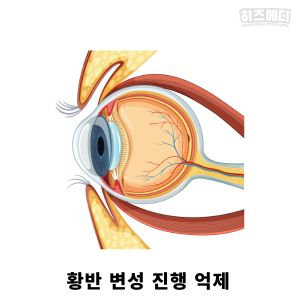 루테인 효능 부작용