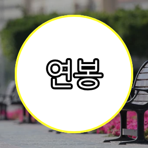 연봉