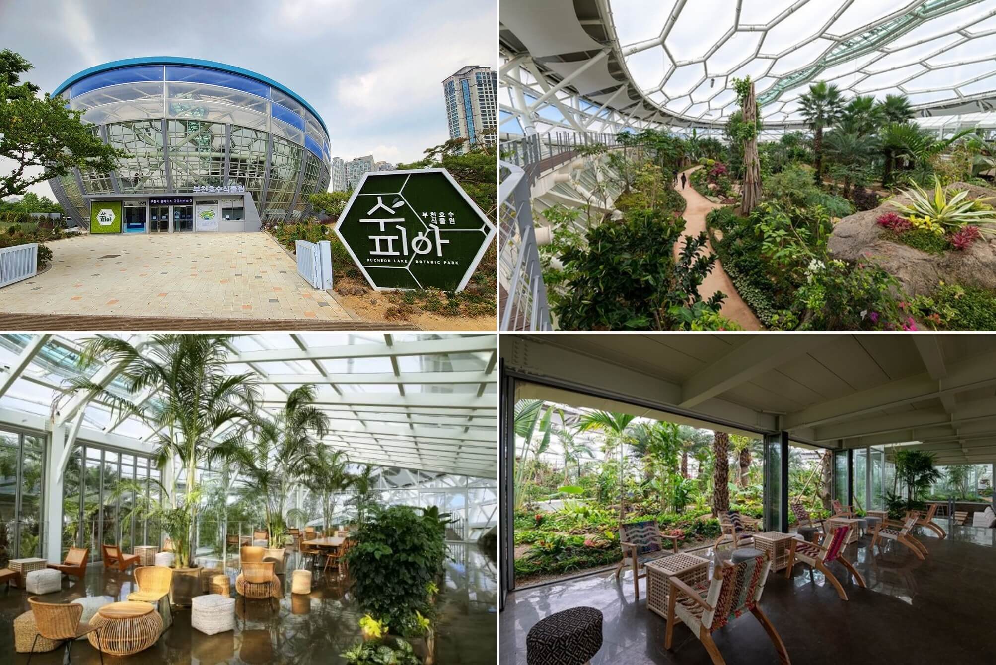 부천 수피아 외부 및 내부 전경
수피아 카페 모습