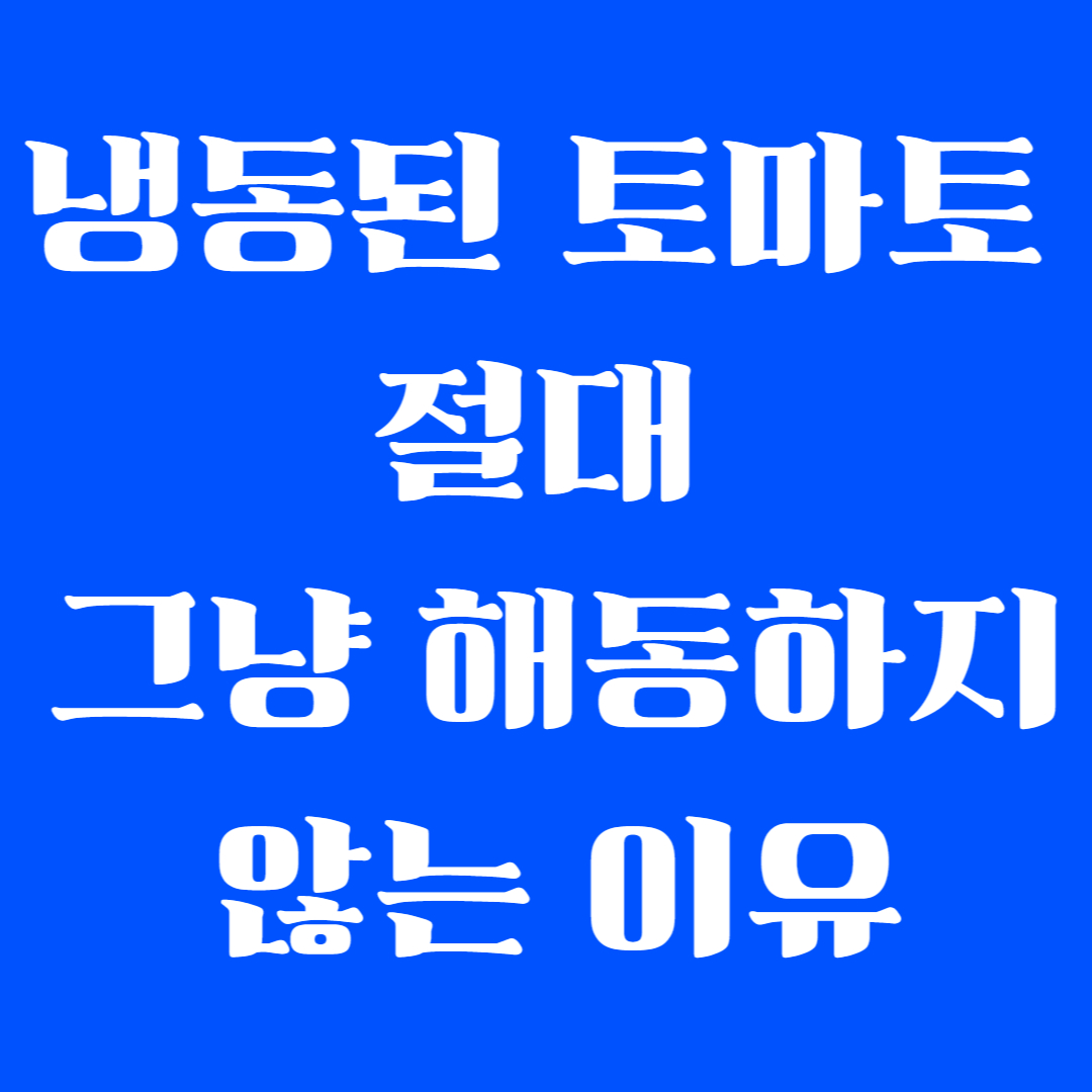 냉동된 토마토 절대 그냥 해동하지 않는 이유