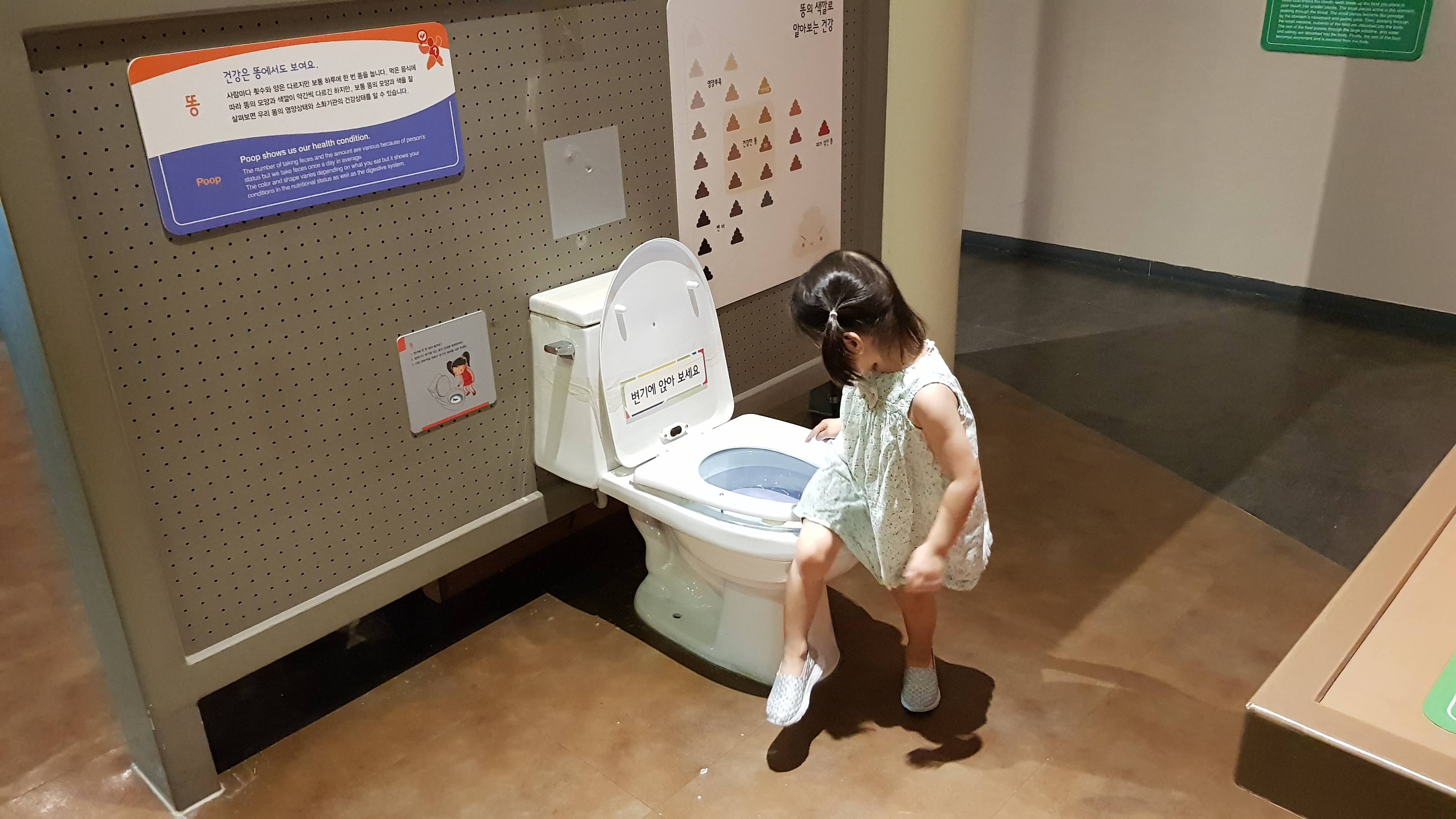 똥 체험