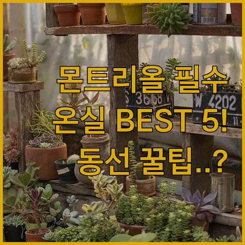 몬트리올 겨울 여행 필수 코스 식물원..
