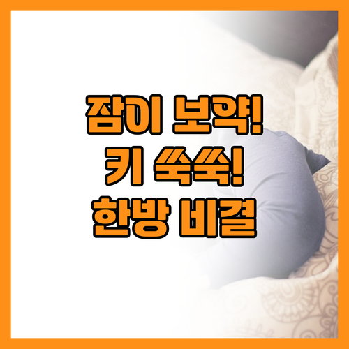 깊은 잠이 보약보다 낫다 한방에서 말..