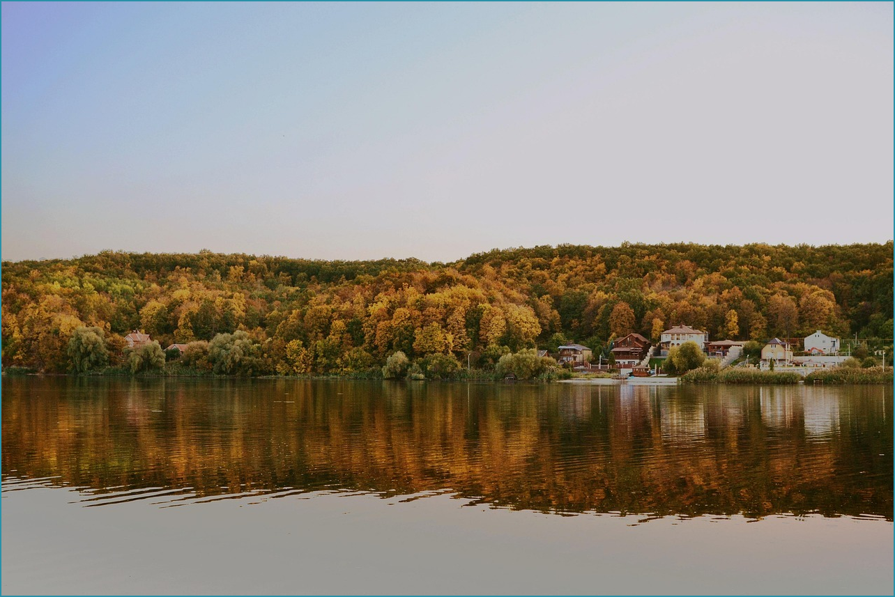 생방송 투데이 빵