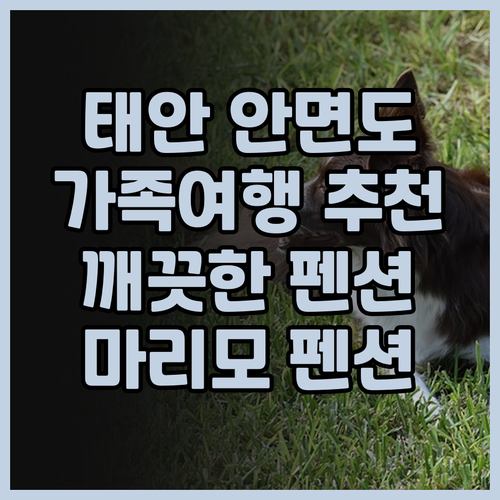 태안 안면도 마리모 펜션 가족 여행객..