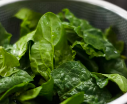 과민성 대장증후군에 좋은 음식 영양제 식단