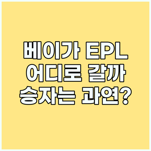 베이가, EPL 이적설! 울버햄튼, 