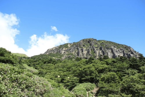 영실등산로19
