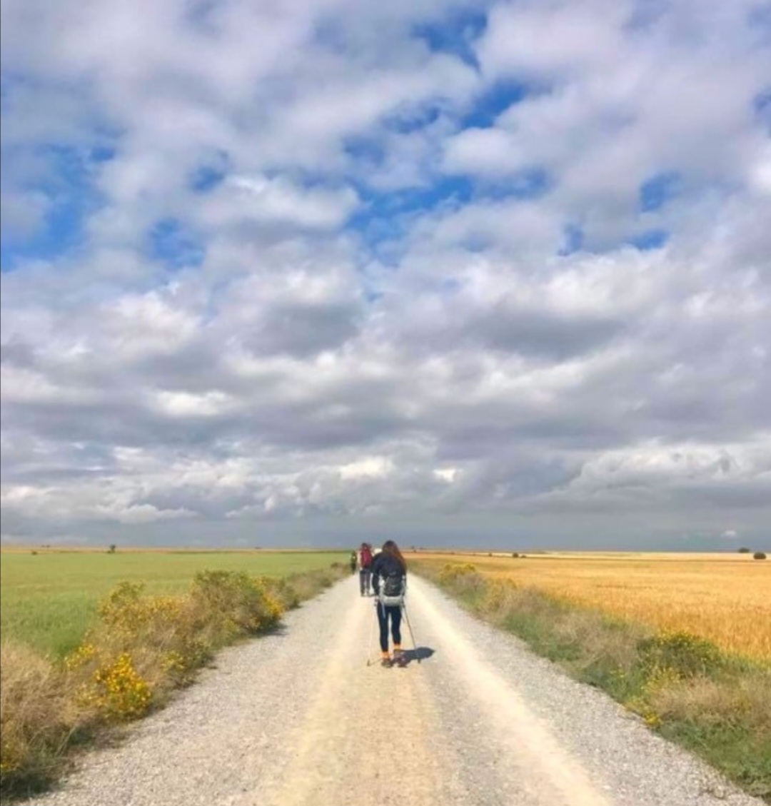 산티아고 걷는 순례자들을 뒷 모습 사진
