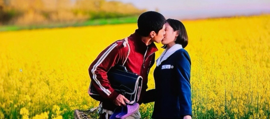 고창 청보리밭 이미지