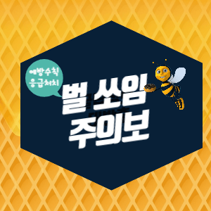 벌쏘임 주의보