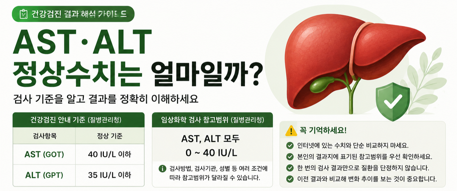 AST ALT 정상수치와 건강검진 간수치 참고범위 안내 이미지