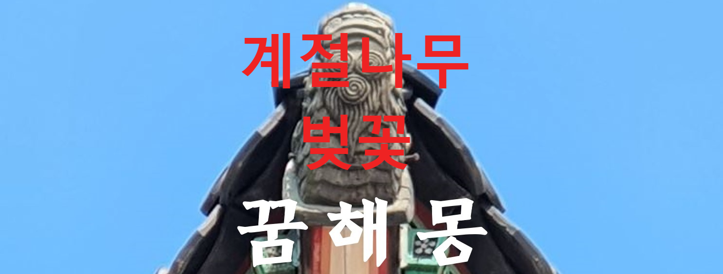 꿈해몽