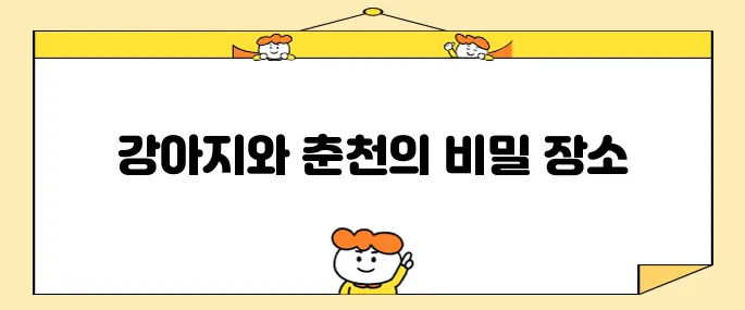 강원도 여행 강아지와 함께하는 춘천의 헤이 춘천 펫룸에서 특별한 시간을 가져보세요