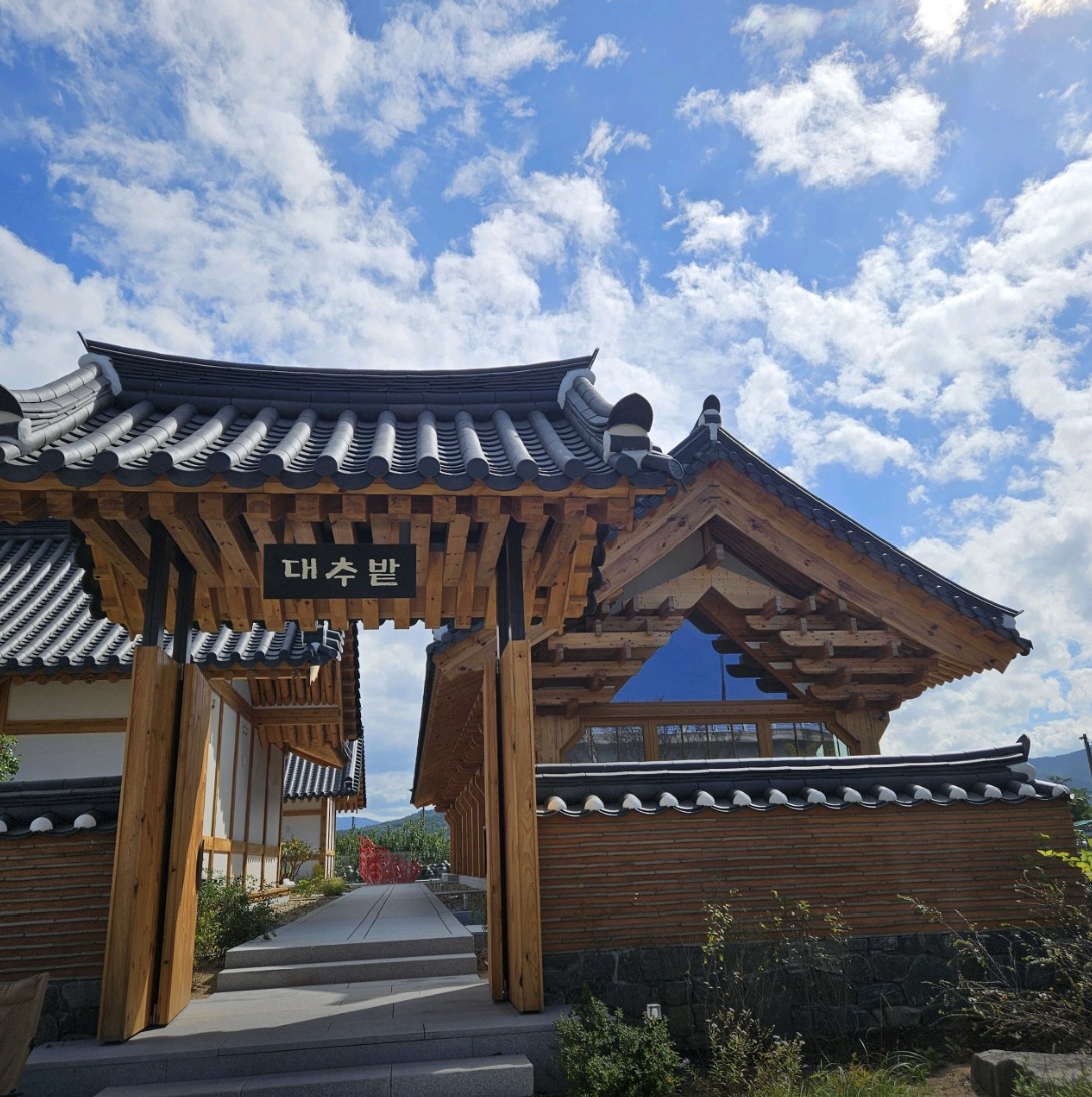 경주 불임치료 전문 한의원, 바로 대추밭 백 한의원