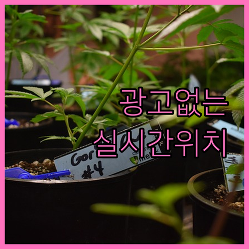 위치추적 서비스 광고 없이 실시간 확..