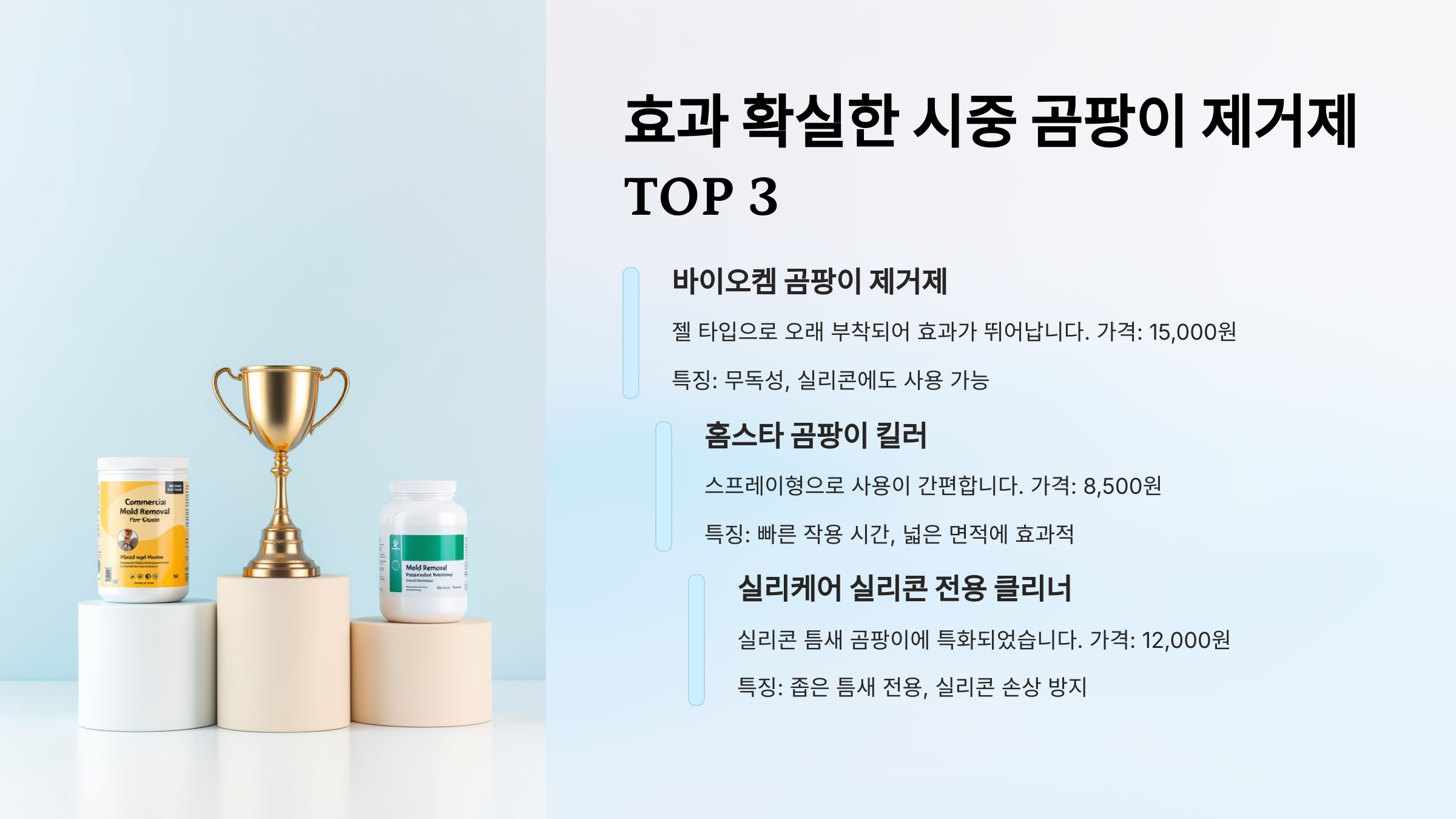 시중 곰팡이 제거제 TOP 3