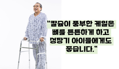 케일 효능