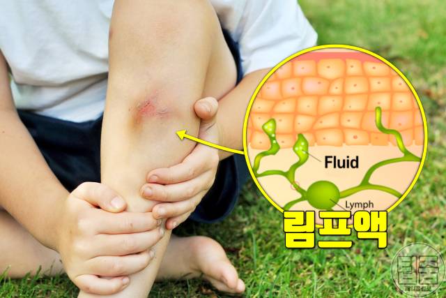 얼굴색 밝아지는법 림프마사지 원리