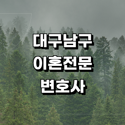 대구 남구 이혼 변호사