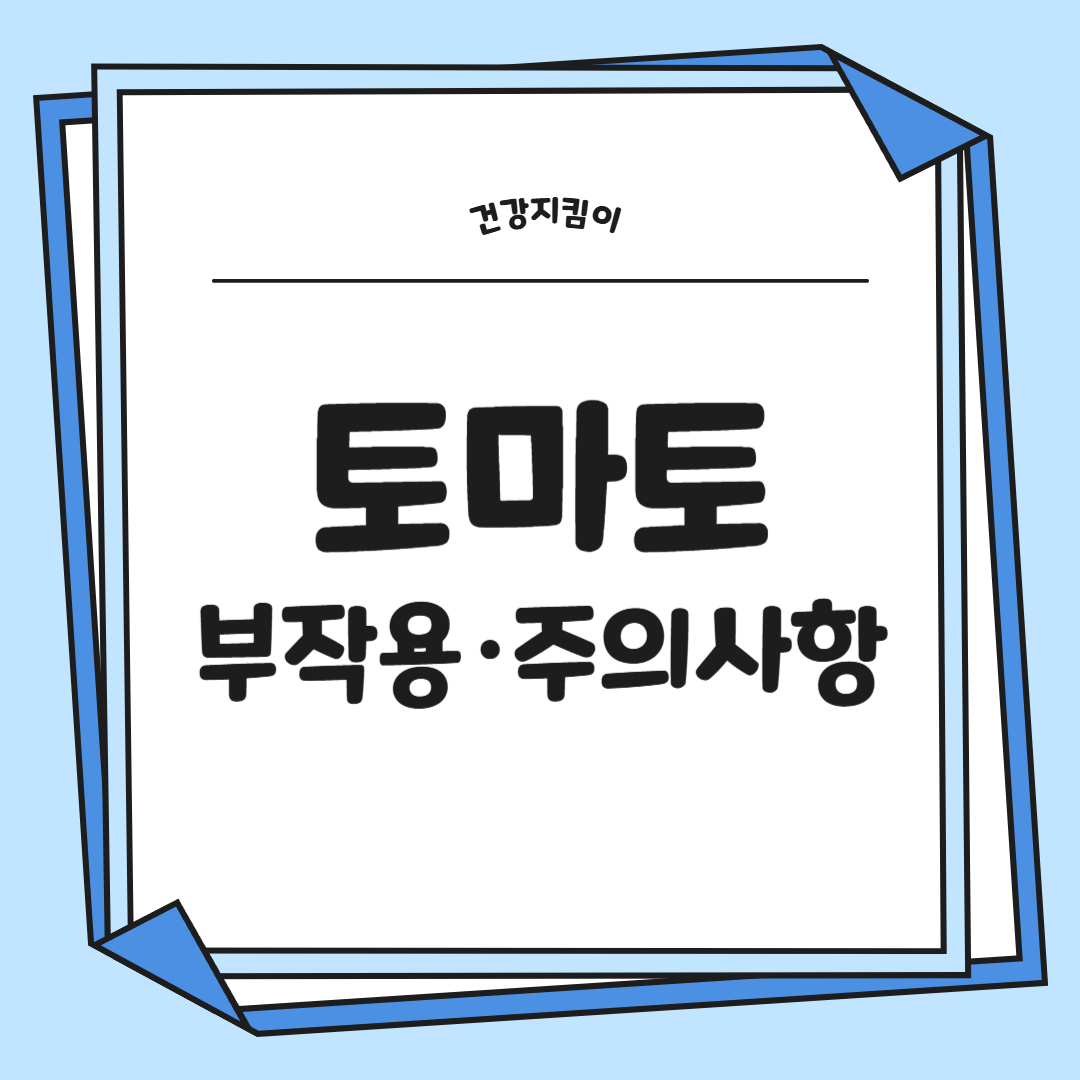 토마토 효능 부작용 고르는법 칼로리