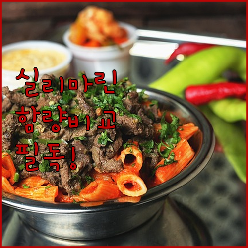 간 영양제 실리마린 고르는 법과 인기..