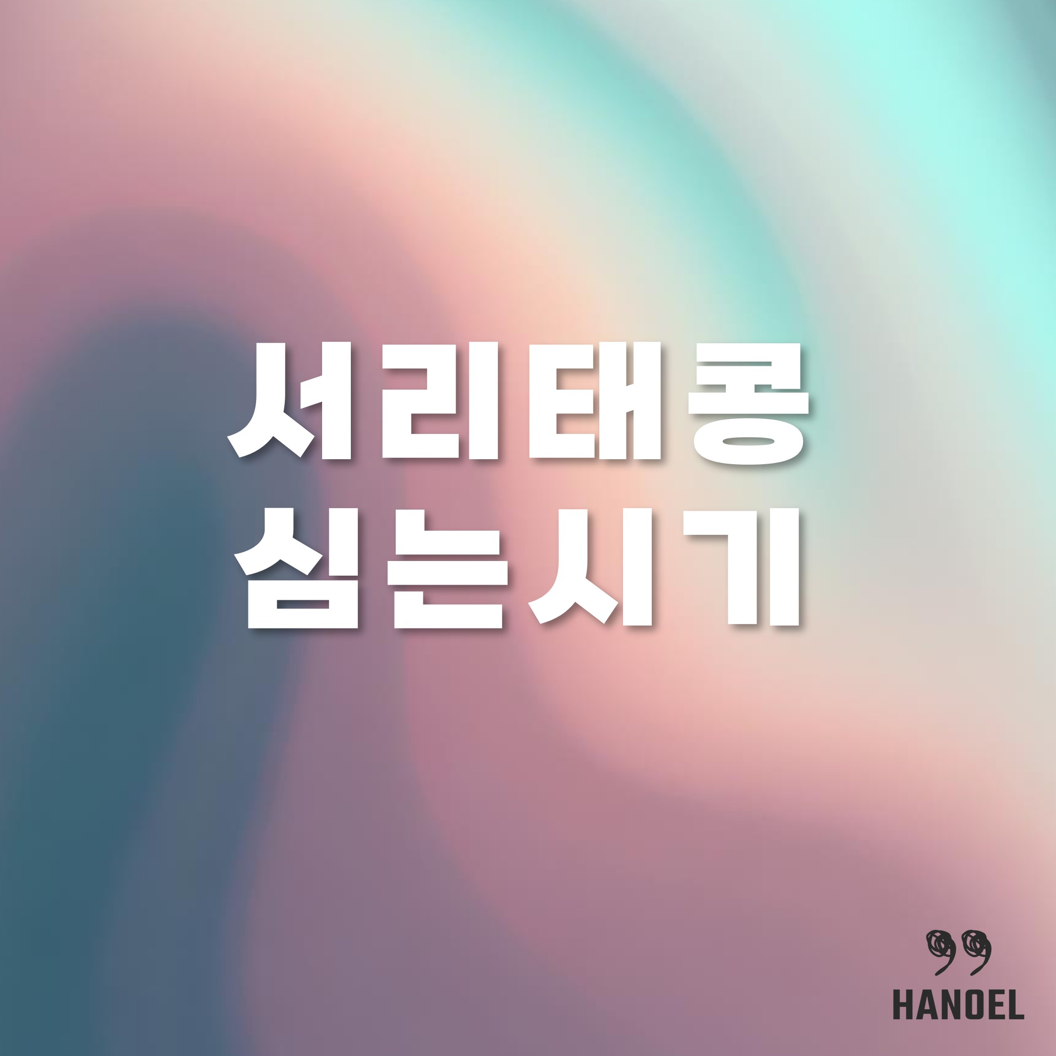 서리태콩 심는시기