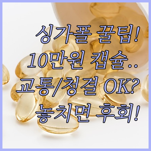 싱가포르 10만원 이하 호텔 캡슐 선..