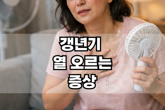 갱년기 열 오르는 증상