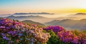 덕유산 곤도라 예약 요금 운행시간