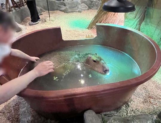 동물원 교육, 제대로 이루어지고 있는가