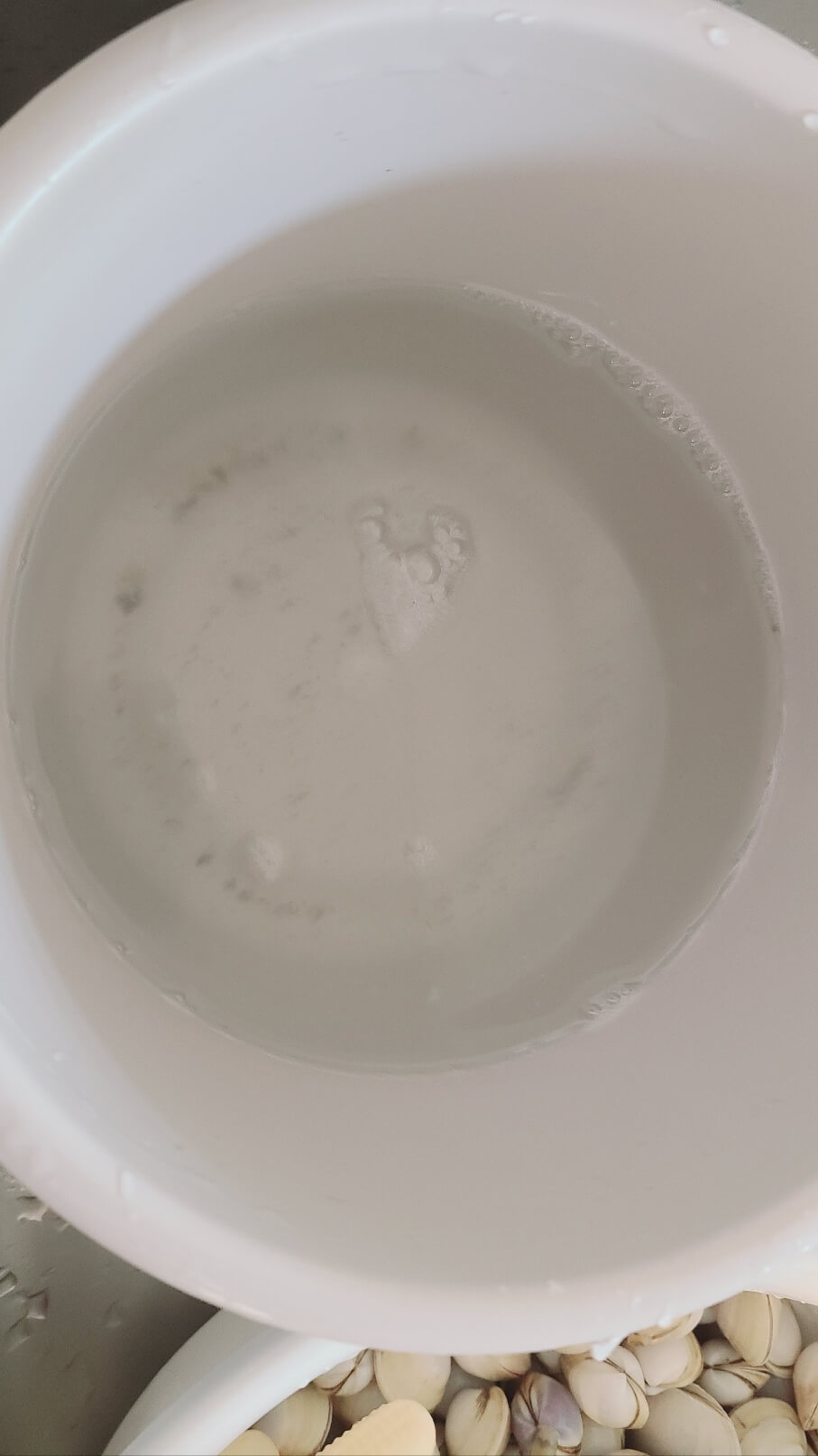 조개 해감 하는 방법 흙