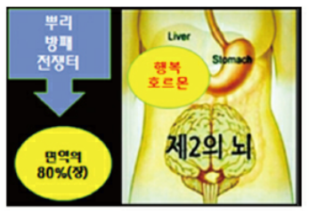 네내 독소 축적