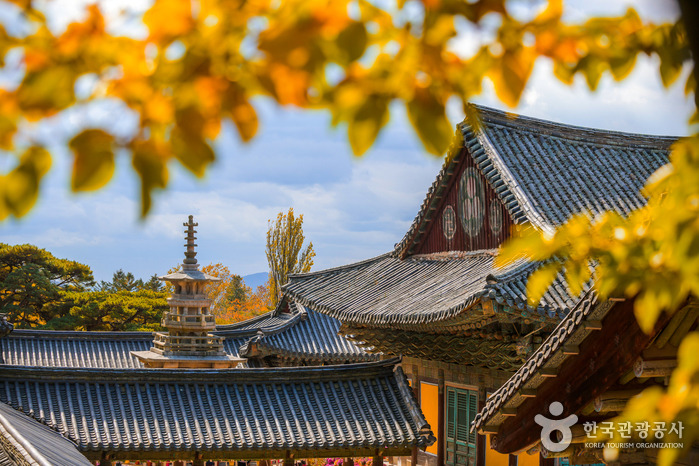 경주 가볼만한 곳 베스트 10 (2025 최신판)