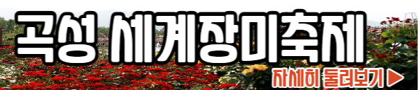 곡성 세계장미축제