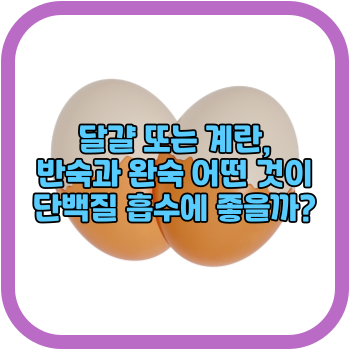 달걀 또는 계란, 반숙과 완숙 어떤 것이 단백질 흡수에 좋을까?