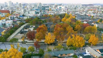 전주 가볼만한곳 베스트10 현지인 추천 필수코스_24