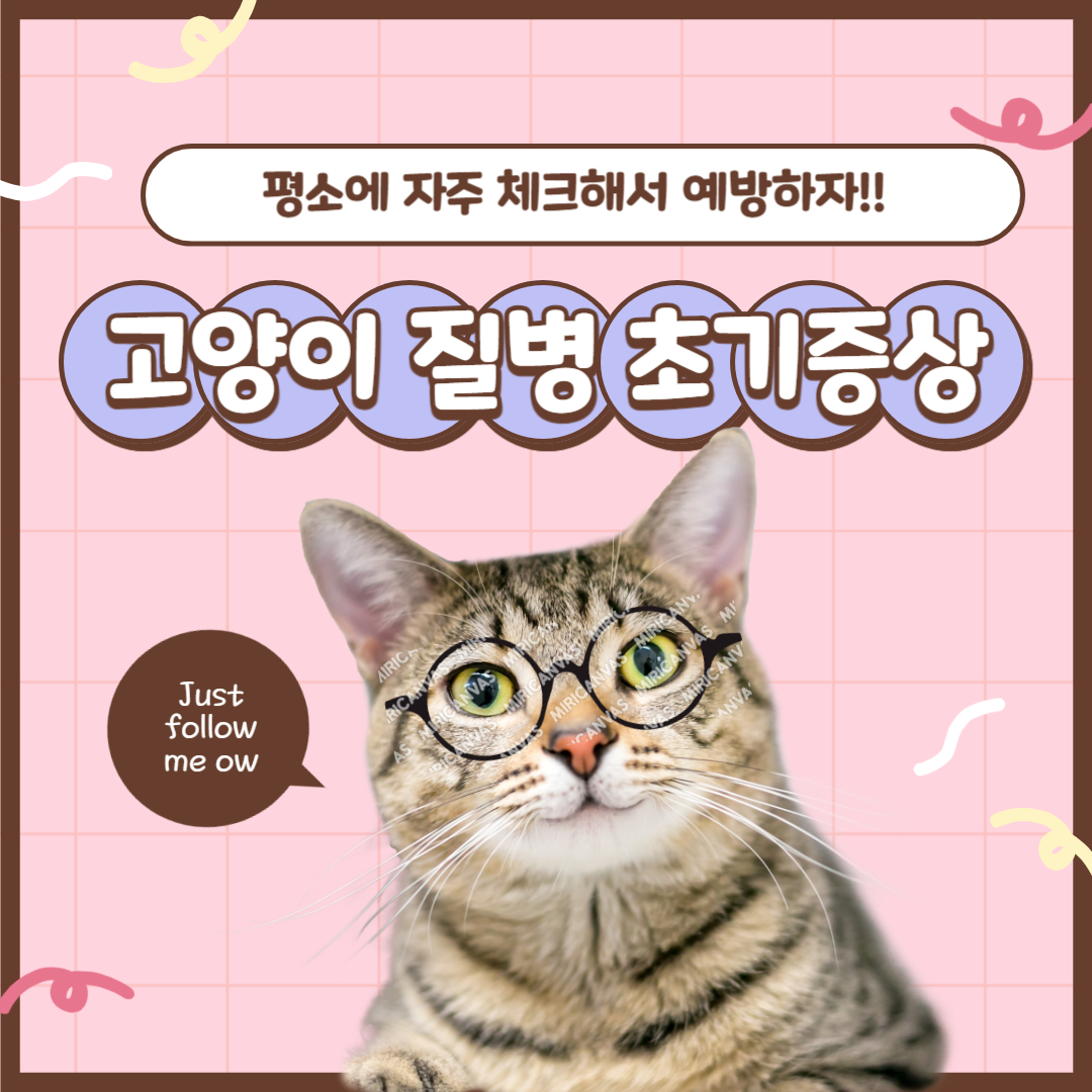 고양이 질병 초기증상