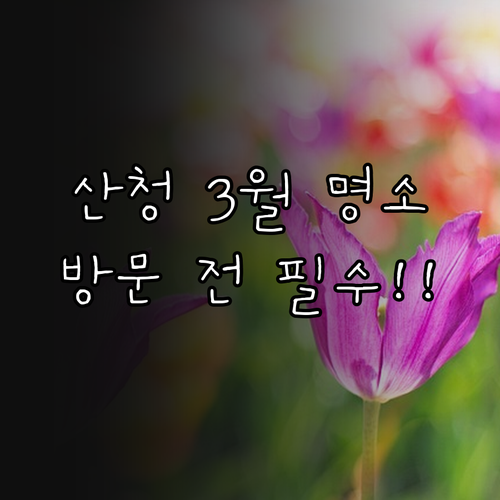경남 산청 3월 가볼만한곳 명소와 방..
