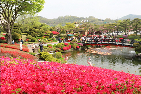 베어트리파크사진