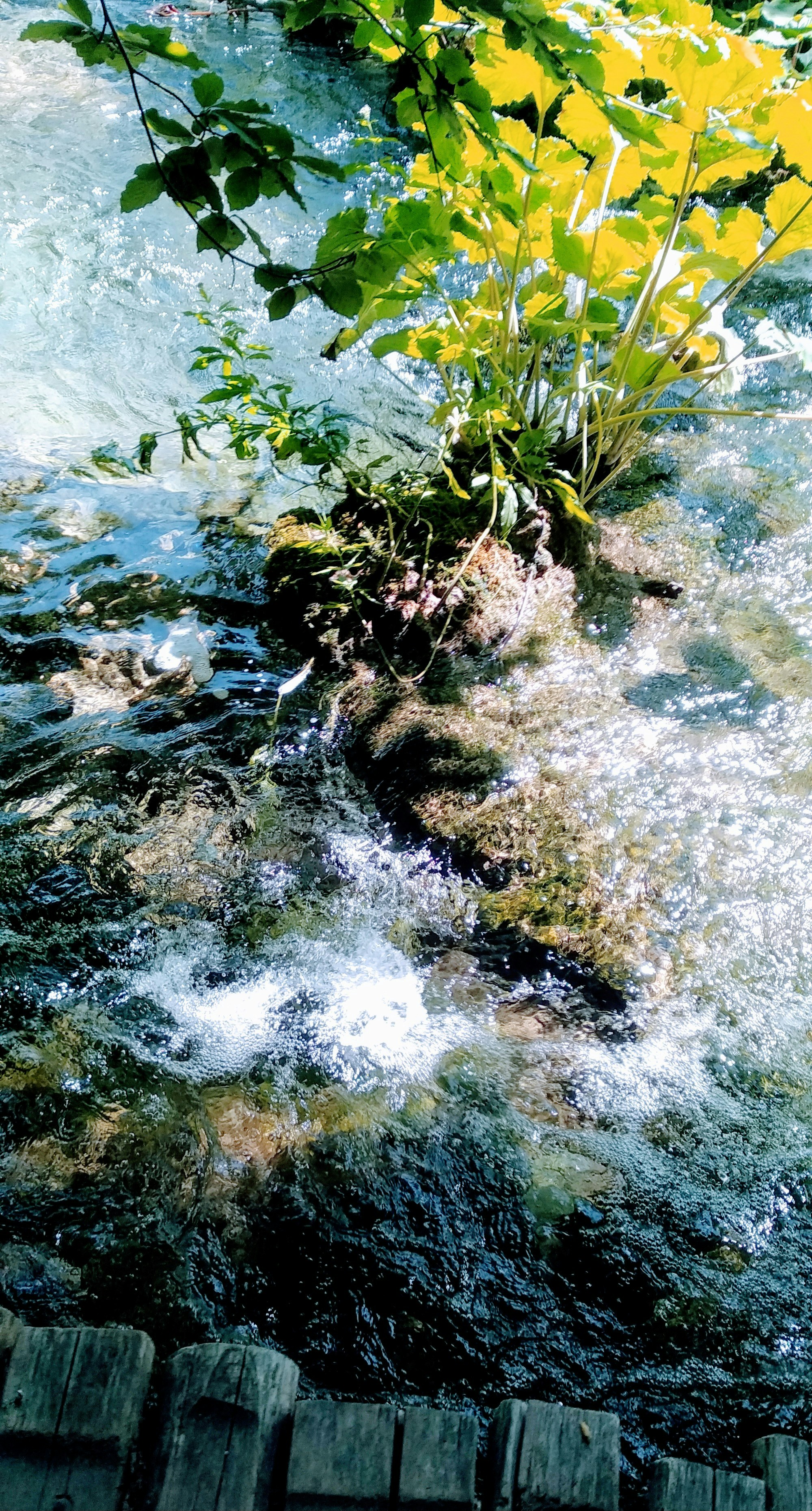 경기도계곡추천