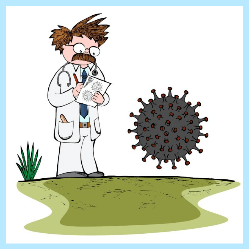 요즘 뜨는 면역강화 루틴 관련 사진