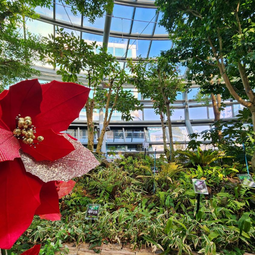 국립중앙과학관