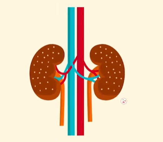 급성 신우신염 증상