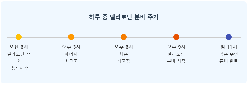 수면의 질을 높이는 저녁 습관 : 멜라토닌 분비 주기