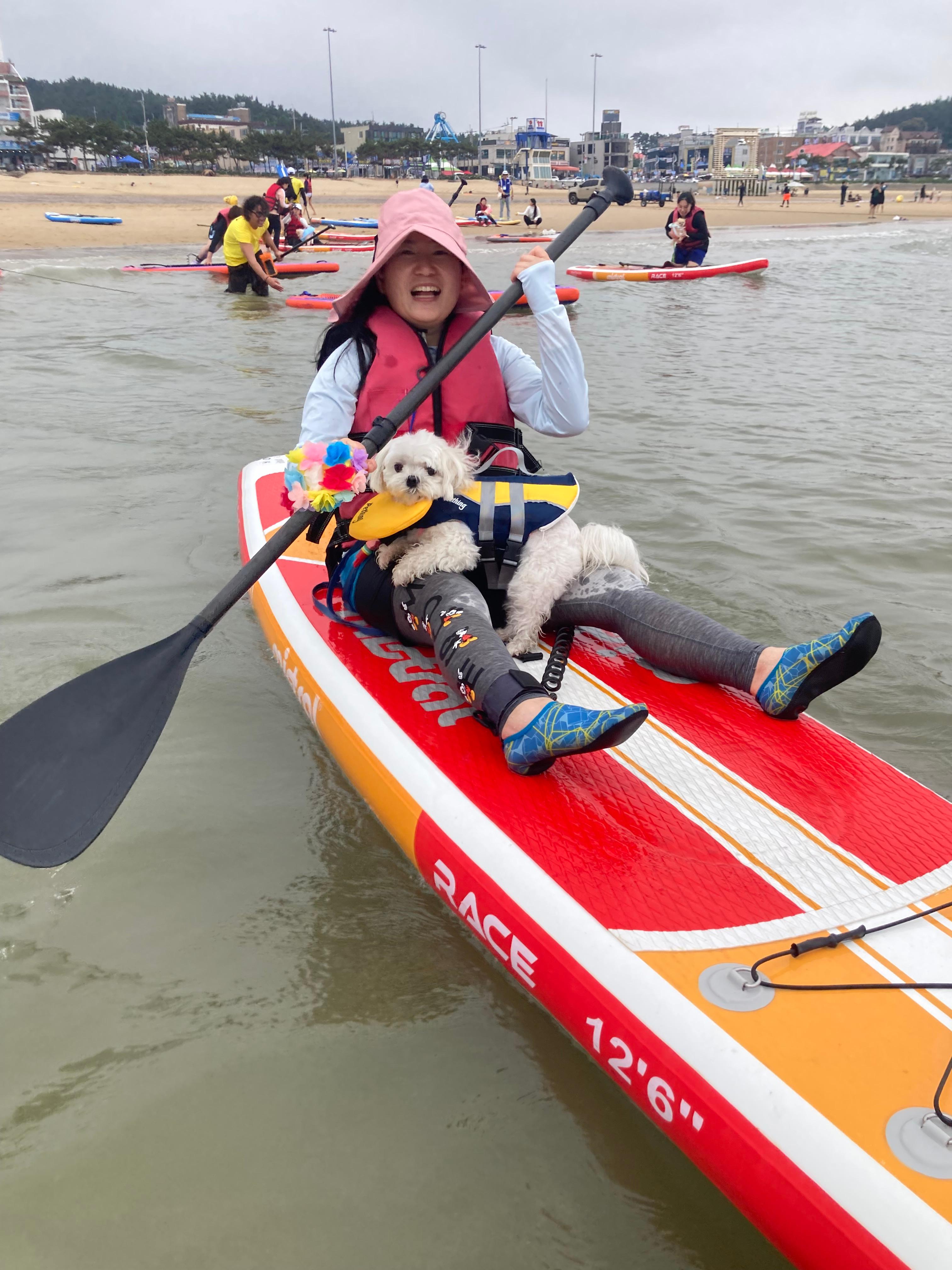 태안 패들보드 체험중