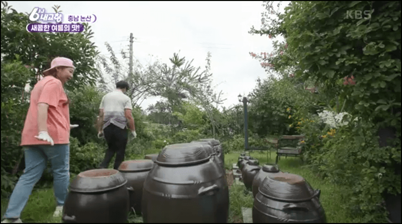 6시내고향 맛집 정보