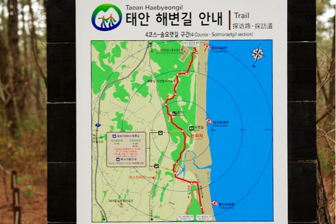태안 솔모랫길