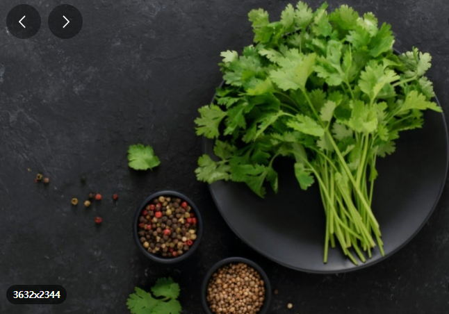 고수 효능과 건강에 좋은 이유