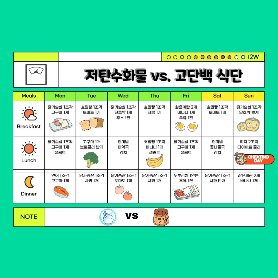 저탄수화물 vs 고단백 식단